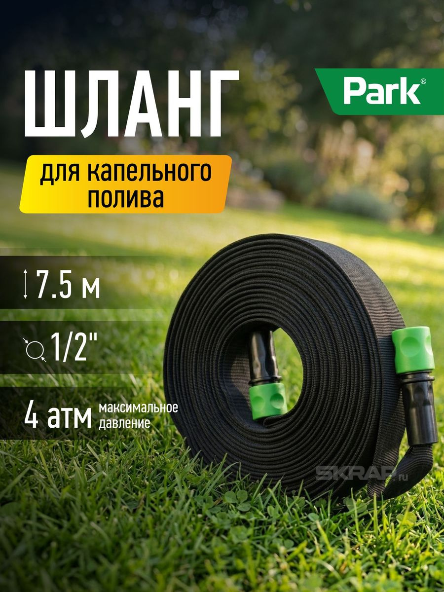 105007_MP_1